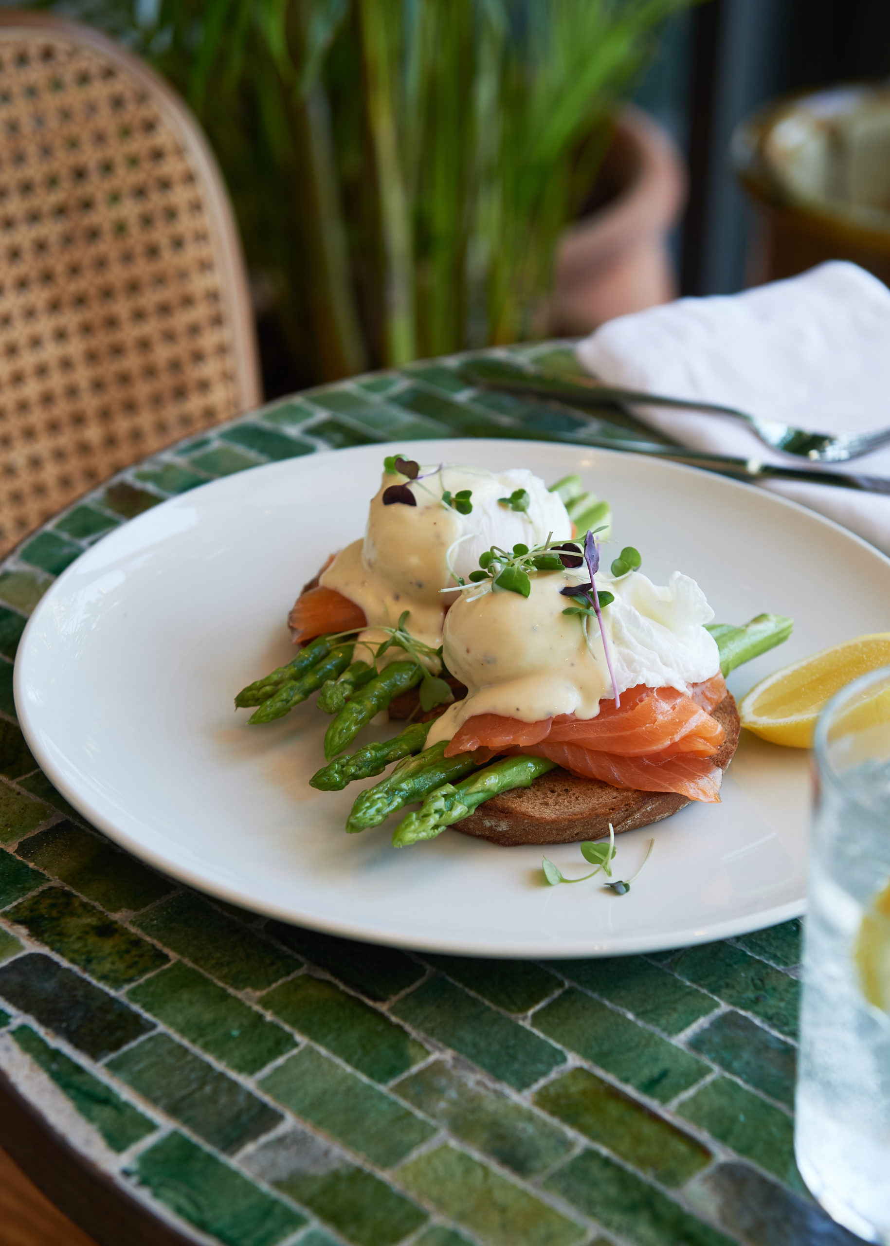 tashas
